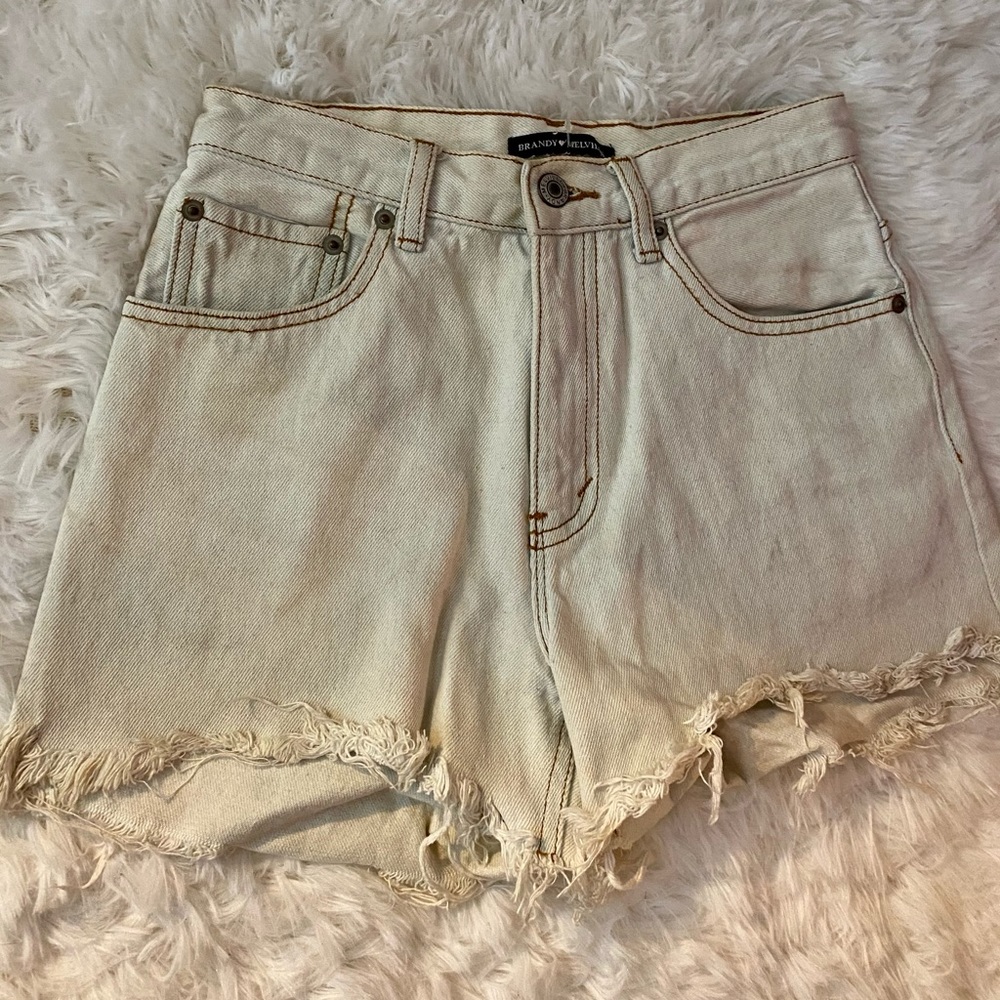 High Waisted Denim Brandy Melville Shorts